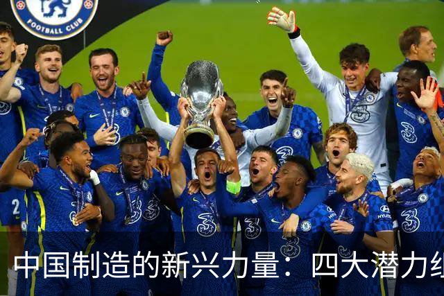 中国制造的新兴力量：四大潜力组织重塑全球产业格局