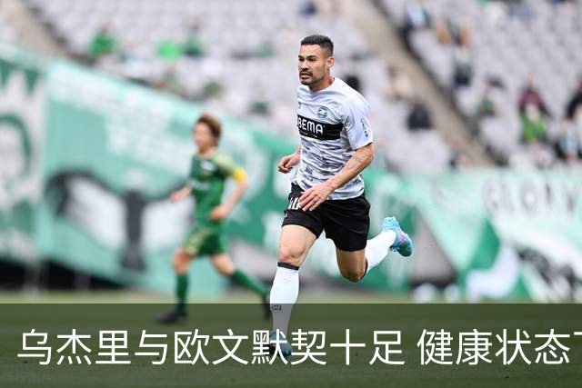 乌杰里与欧文默契十足 健康状态下追求者无尽